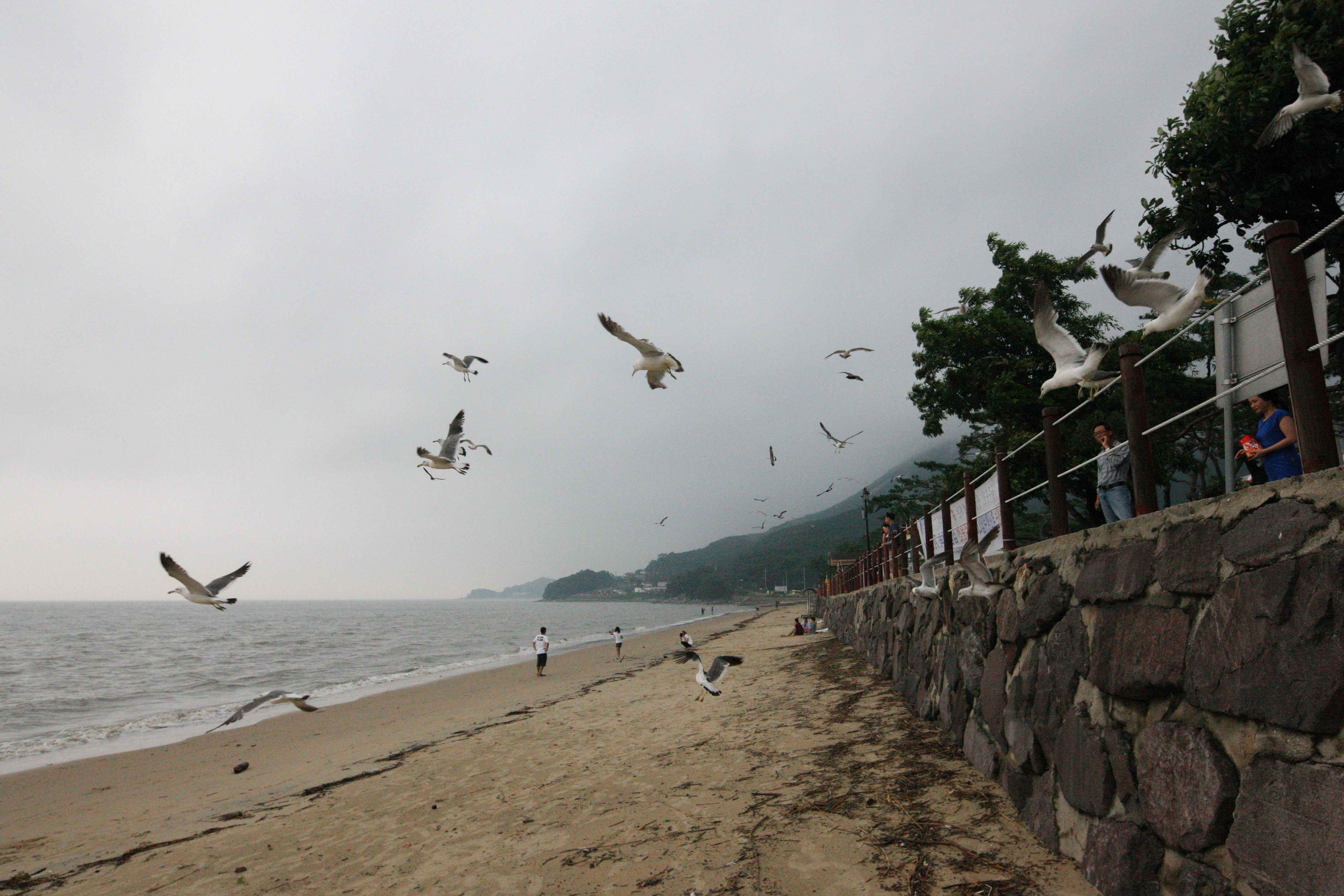 Incheon gallery 8